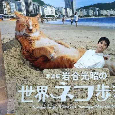 杉田 毅博